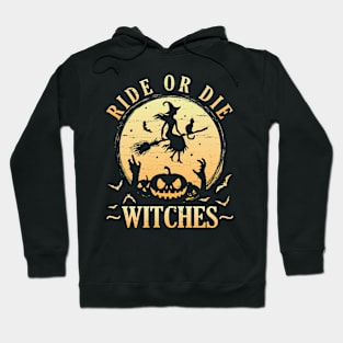 Moon Light Witch Cat Broom Halloween Day Ride Or Die Witches Hoodie